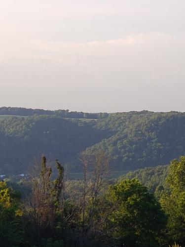 Wisconsin cabins to rent in the Driftless area.