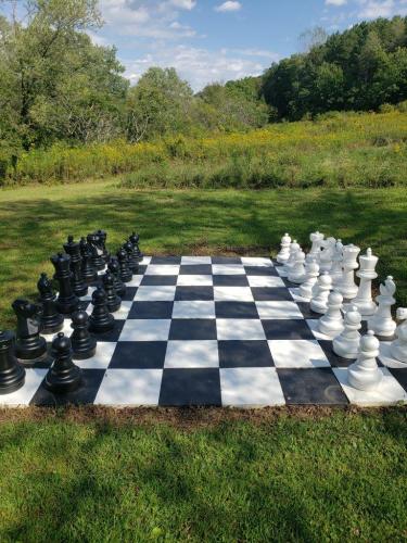 chess_to_begin